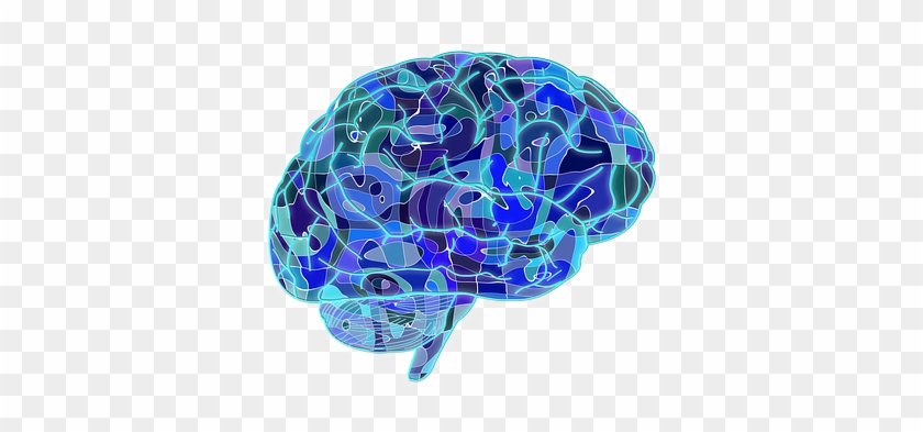 Gehirn Hirn Biologie Abstrakt Großhirn Cer - Brain Blue #679037