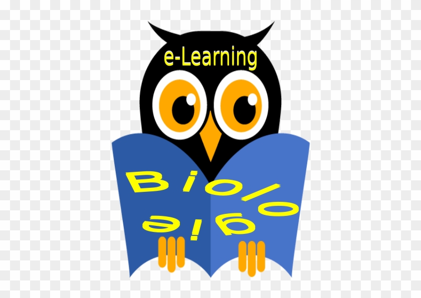 Pedagogia Aplicata In Lectiile De Biologie - E Learning #679047