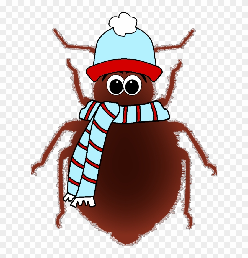 Does Freezing Kill Bed Bugs Find Out Now What Recent - Bed Bug #679302