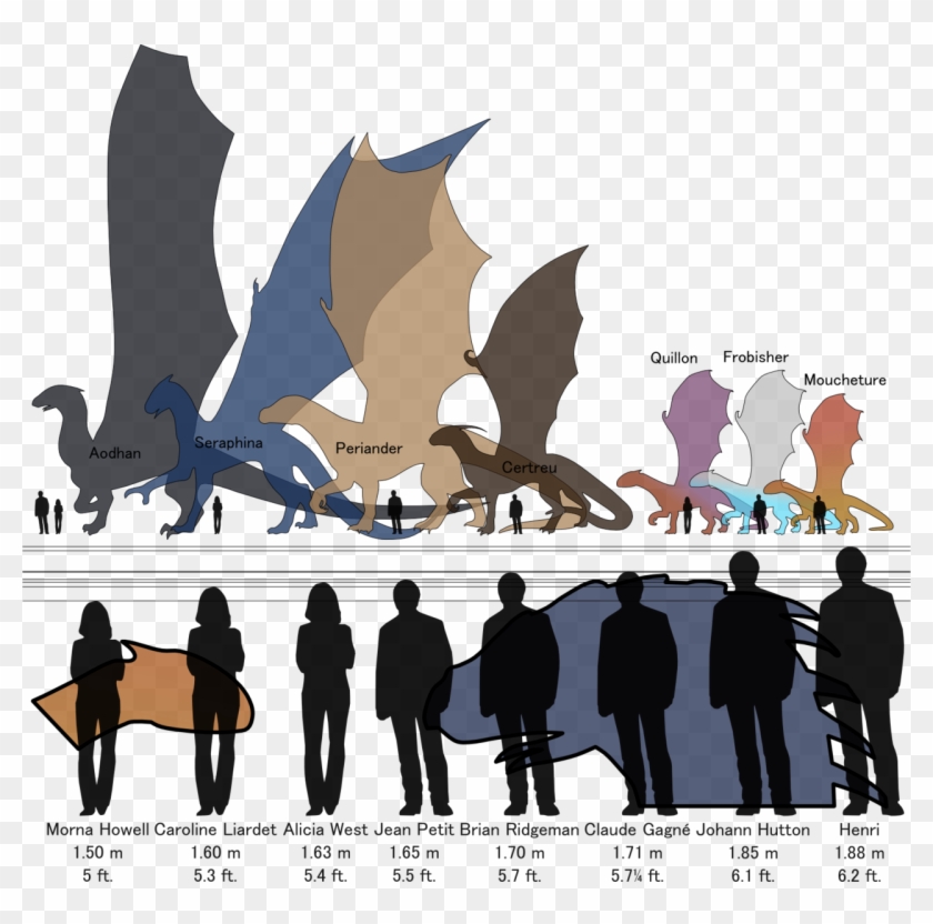 D D Dragon Size - His Majesty's Dragon Temeraire #679725