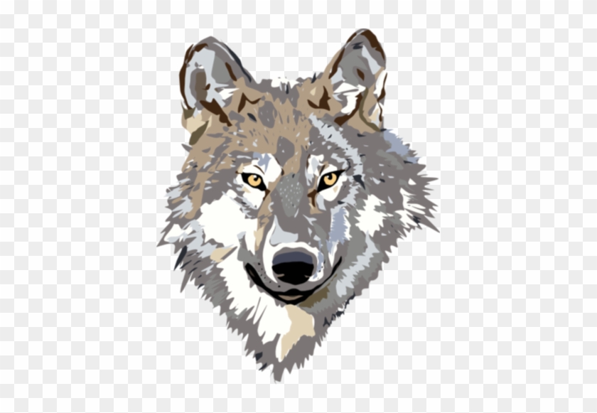 Gray Wolf Clip Art 9dc4brkdce - Wolf Head Clipart Transparent #120937