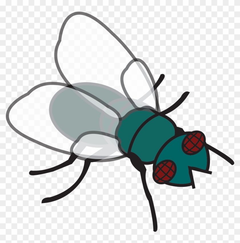 Using A Fly Swatter To Swat Flies During Small Group - Fly Clipart #121612