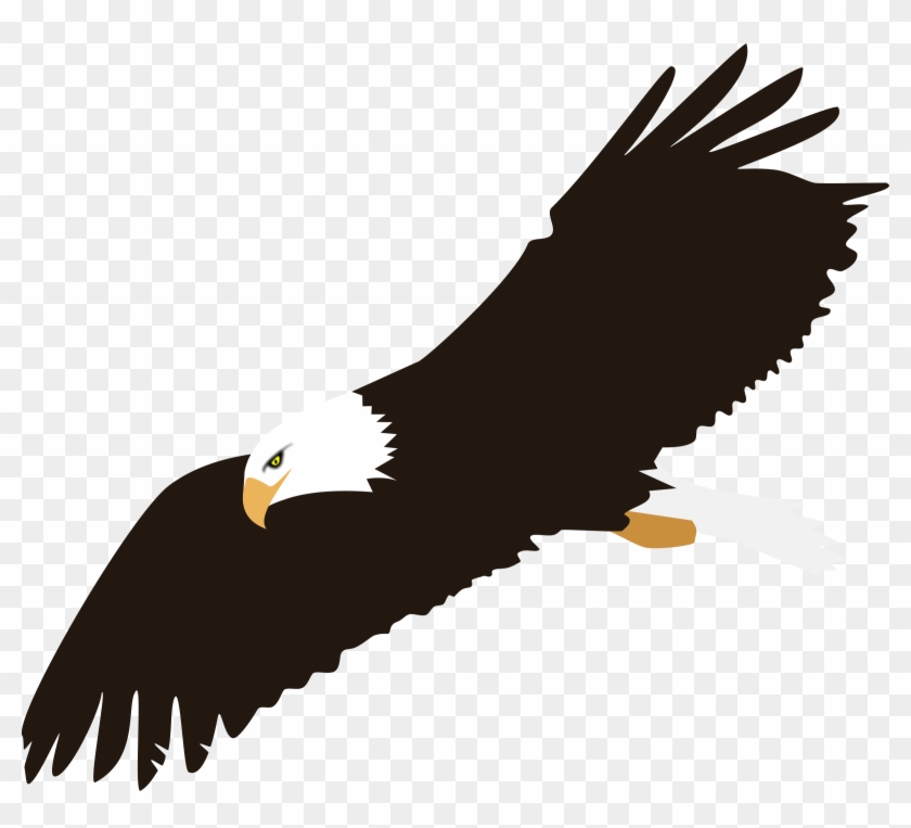 Soaring Bald Eagle Vector Clipart Image - Eagle With White Background #121893