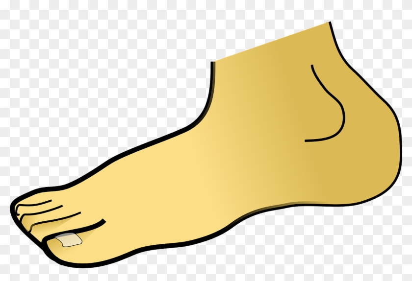 Foot Clipart #121975