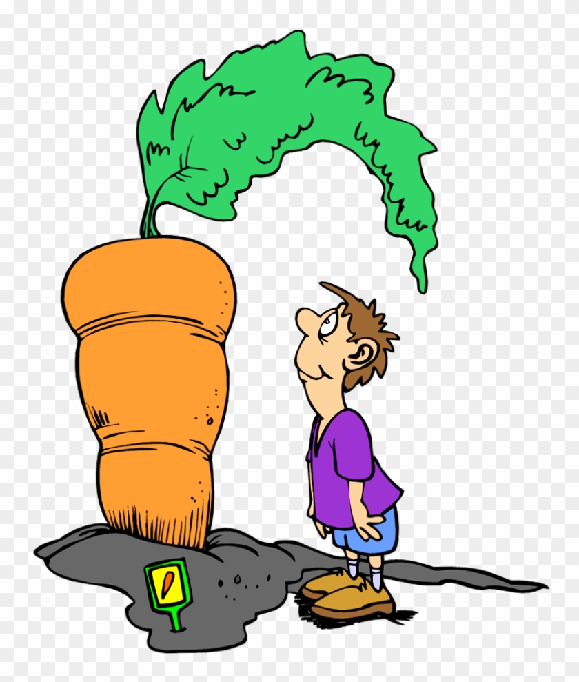 Pictures - Clipart Seeds Carrot #122751
