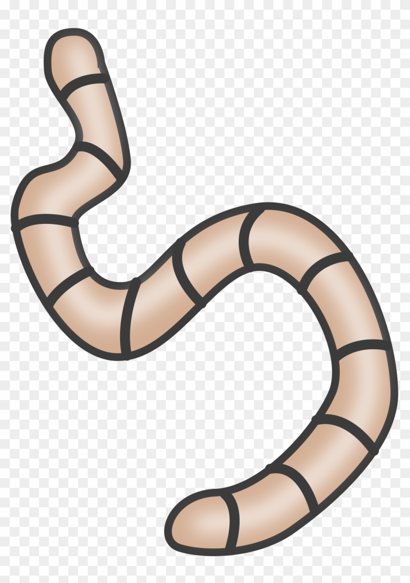 Earthworm Free Content Clip Art - Earthworm Free Content Clip Art #123724