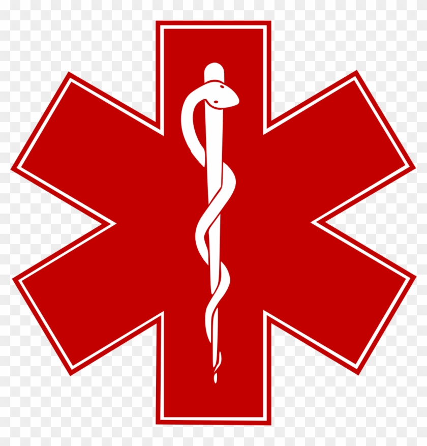 Ambulance Driver Clip Art Back Of Ambulance Paramedics - Star Of Life #123864