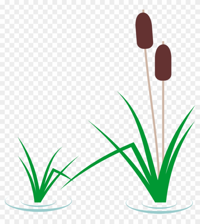 Cattails Clip Art Black White Clipart Pencil And In - Cattail Clipart #123985