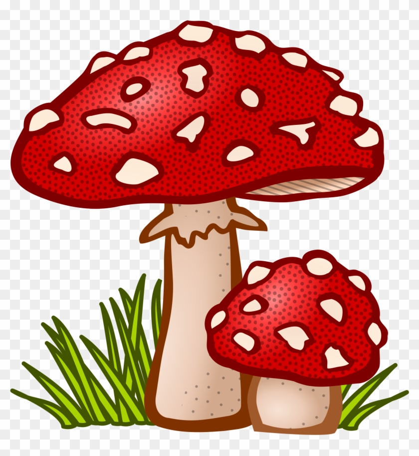 Big Image - Mushrooms Clipart #124484