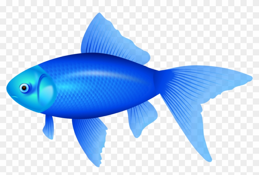 Blue Fish Png Clipart Image - Blue Fish Clipart #124805