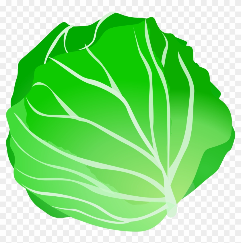 Lettuce Clip Art Clipartall Free Clipart - Cabbage Clipart #125620