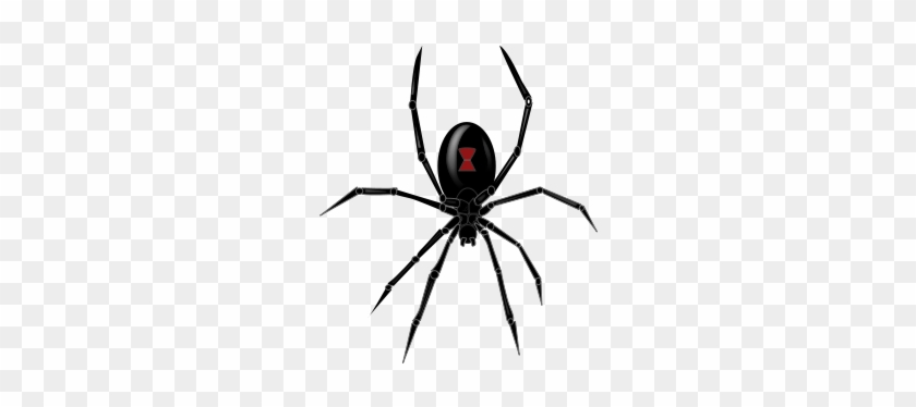 Spider Design Black Widow - Sunshine Design Cases Black Widow Dj Turntable Slipmat #125941