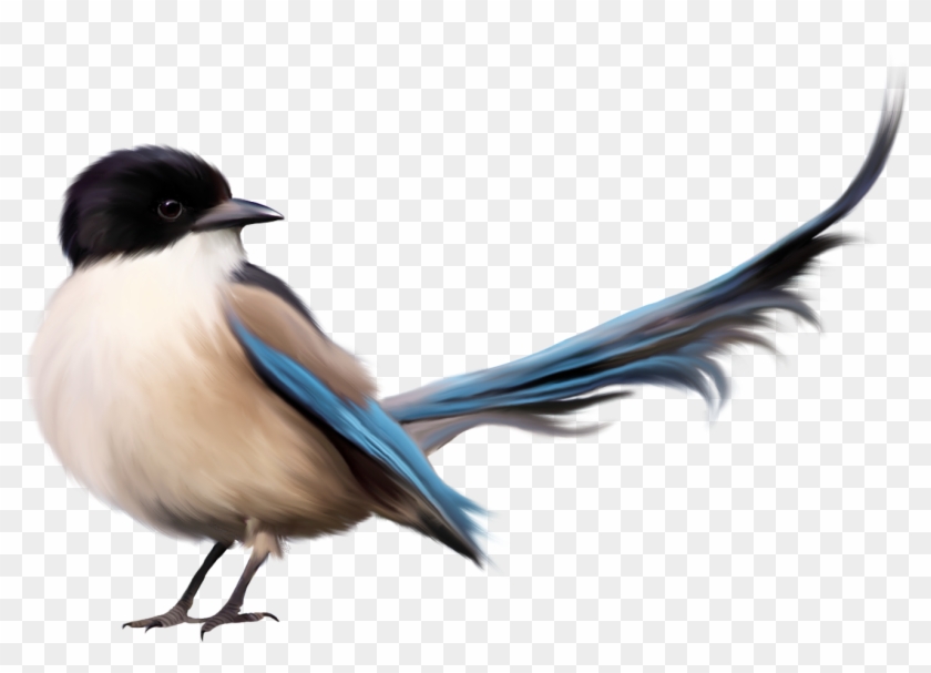 Bird With Blue Tail Png Clipart Picture - Friend Beautiful Quotes Fb #126221