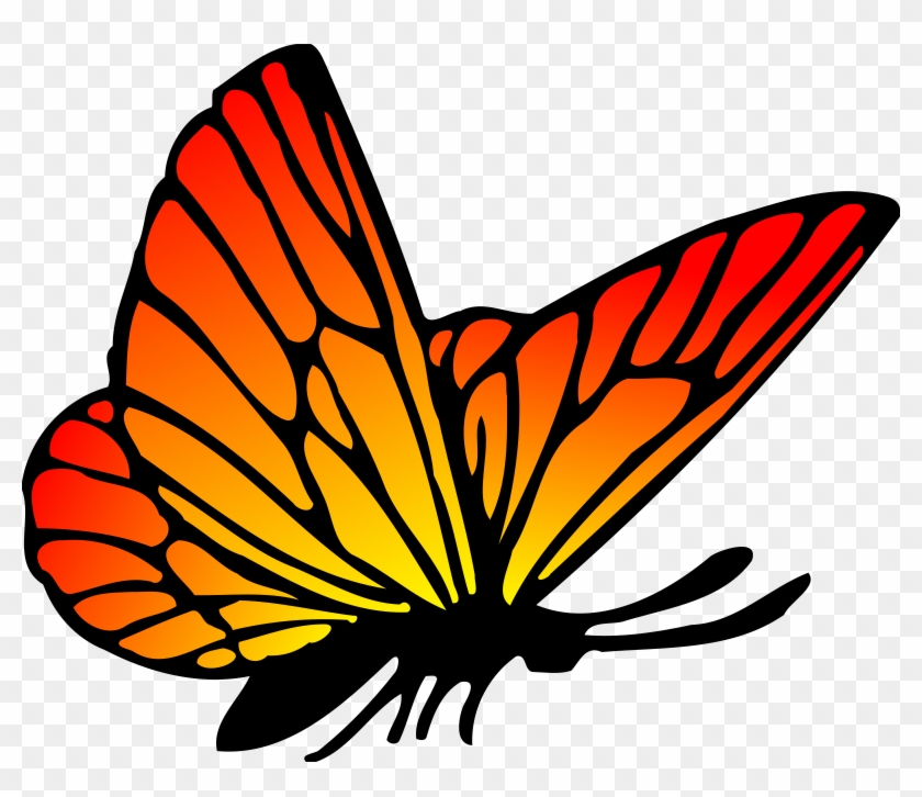 Free Stock Photo Of Red Orange Butterfly Vector Clipart - Red And Orange Butterfly #127660