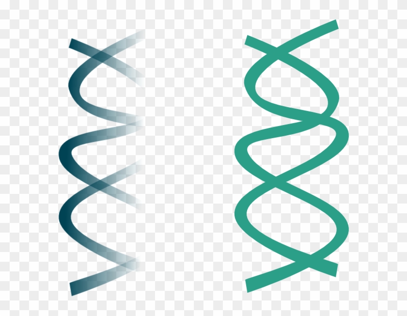 Dna Clip Art - Clipart Dna Png #128073