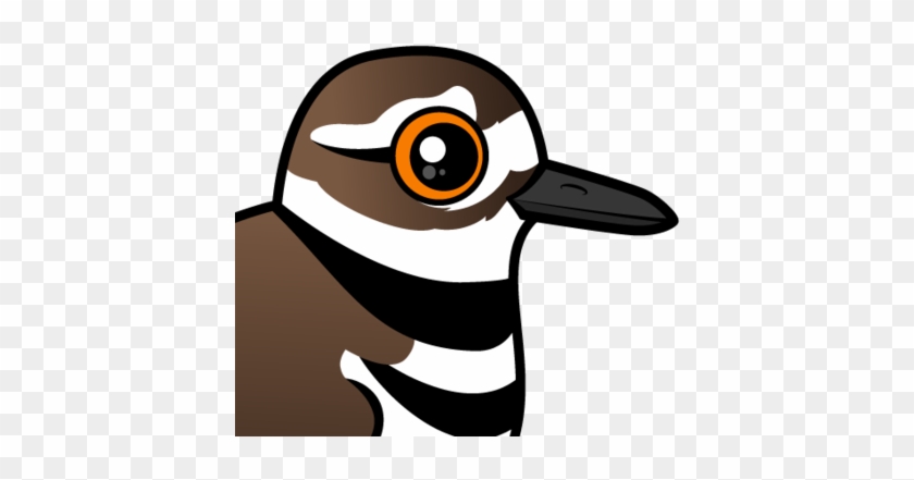 Killdeer Are Known And Get Their Name From Their 'broken-wing - Killdeer U. Drei Küken Grußkarte #679871