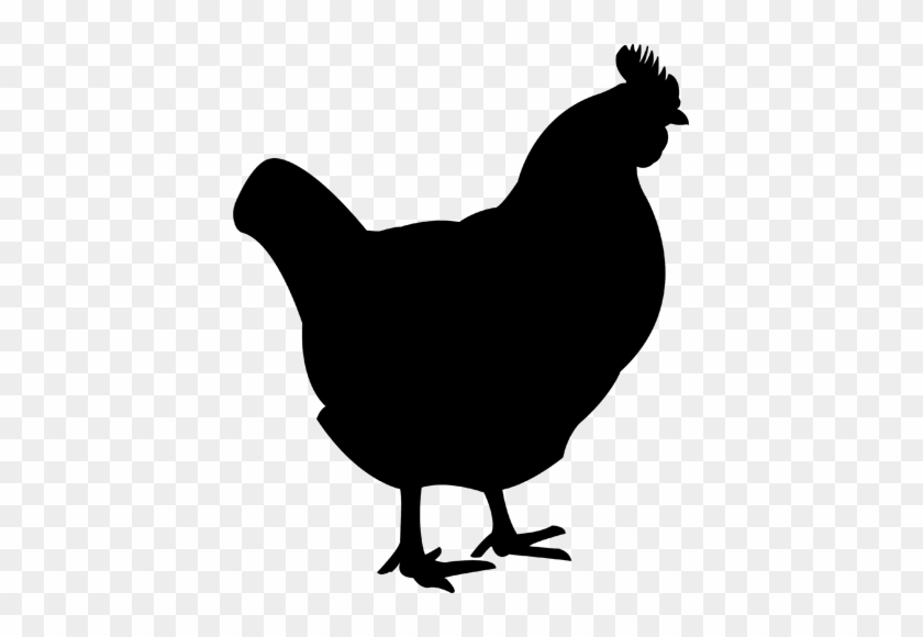 Chicken Clipart Solid Black - Chicken Silhouette No Background #679888