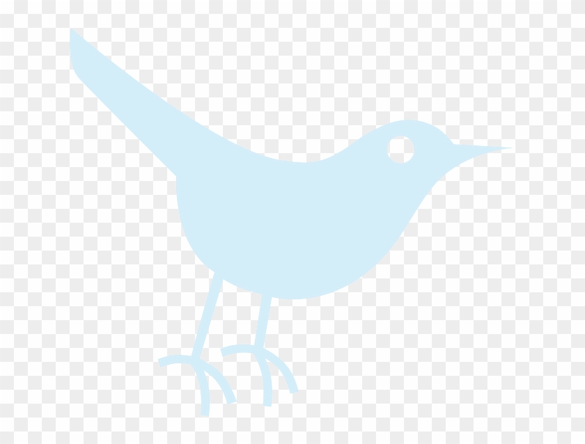 Tweet, Bird, Blue, Sparrow, Animal - White Bird Images Clipart #679929