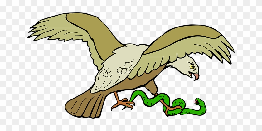 Eagle Snake Kill Bird Wings Claws Caught F - La Serpiente Y El Aguila #679944