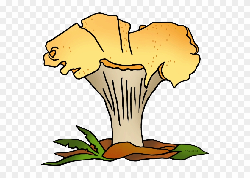 State Mushroom Of Oregon - Biology #680163