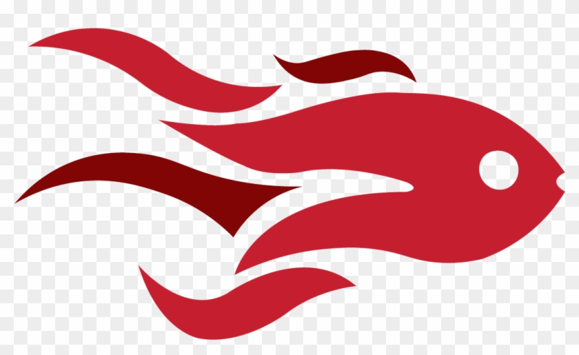 Deejay Exim Limited - Deejay Exim Limited #680198