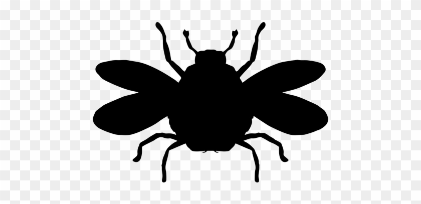 Transparent Bee #680858