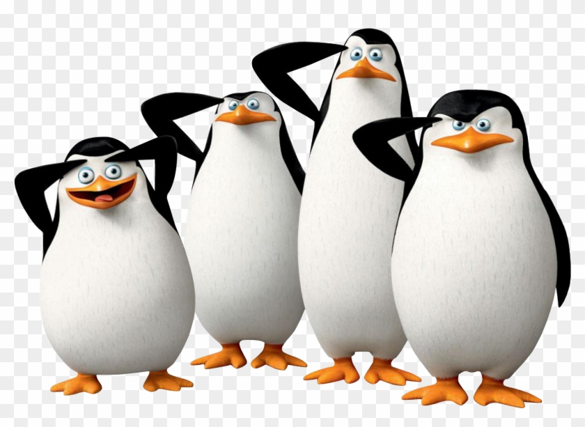 Kowalski Penguin Madagascar Dreamworks Wallpaper - Penguins From Madagascar Salute #680988