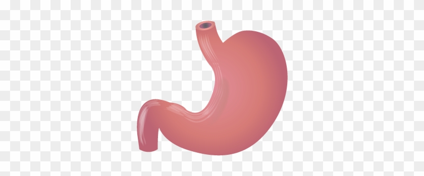 Causes - Stomach Clipart Png #681312