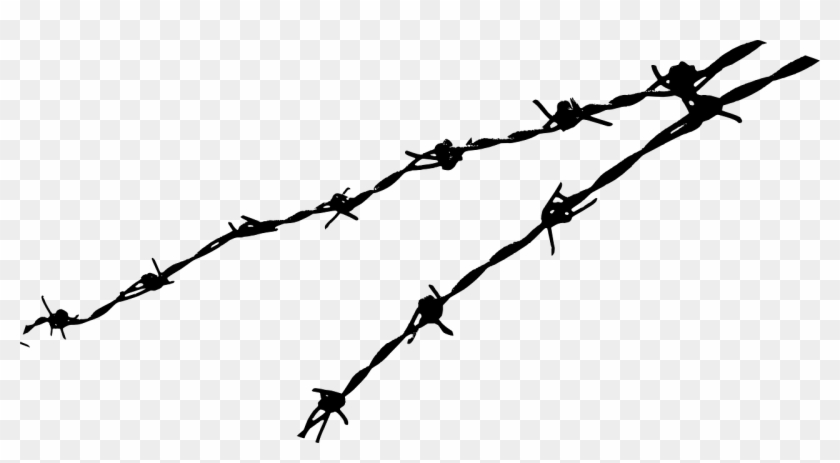 Barbed Wire - Barbed Wire Png #681595
