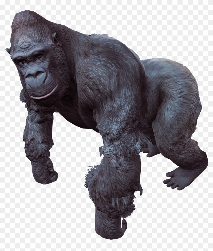 Gorilla Png - Gorilla Png #682019