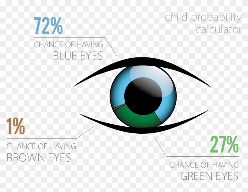 Chromo2 Blue Eyes Child Probability Calculator - Chance Of Having Blue Eyes #682785