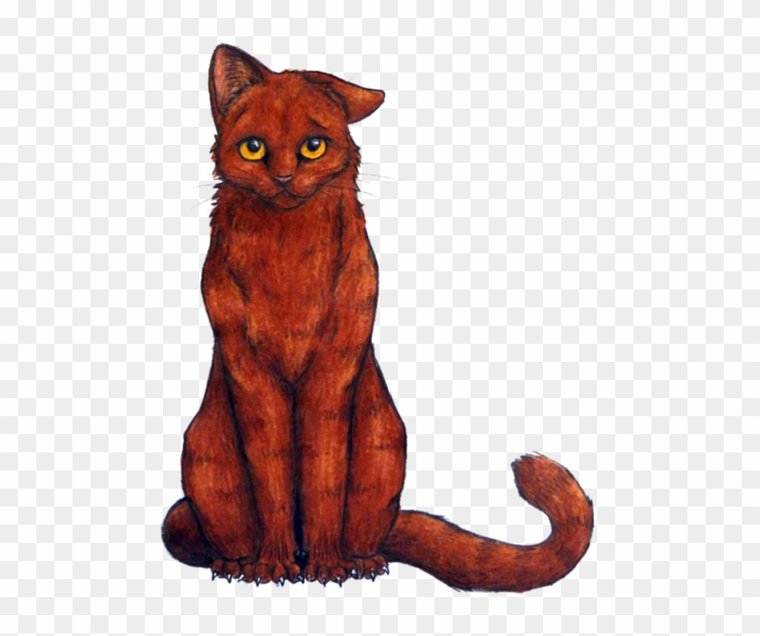 Fernstrike Redish She Cat With Flashing Amber Eyes, - Fernstrike Redish She Cat With Flashing Amber Eyes, #682791