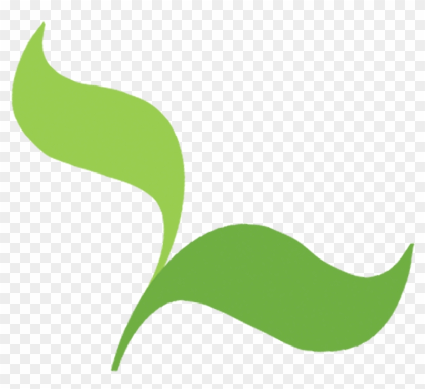 Seedcamp - Seedcamp #683075