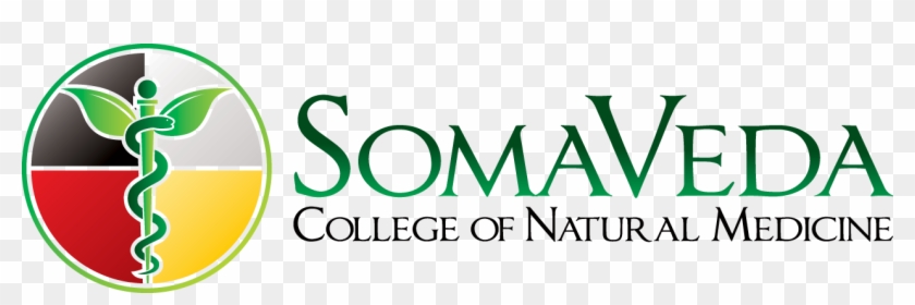 Scnm Associate Of Arts Tuition - Scnm Medicine Wheel Logo Shower Curtain #683168