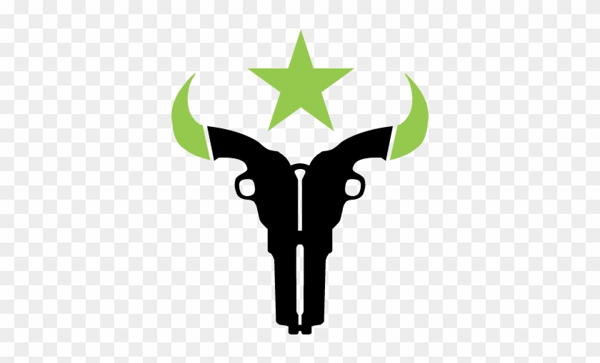 Overwatch League Houston Outlaws #683575