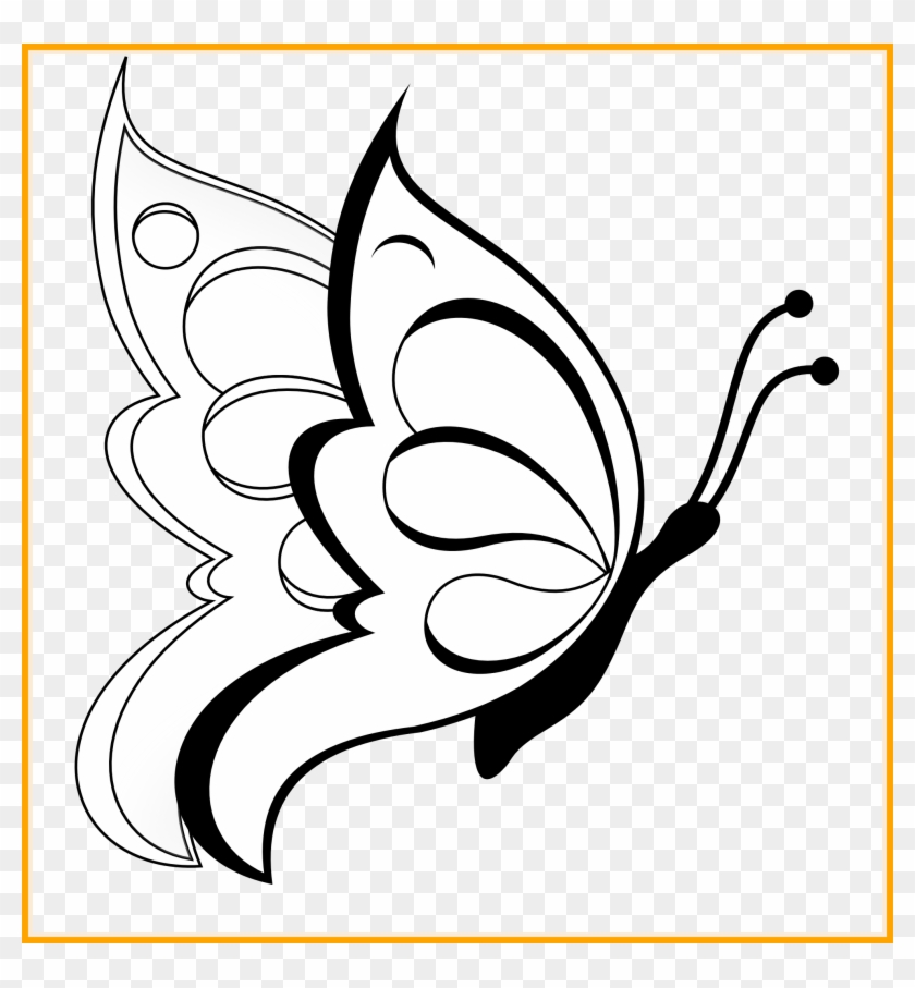 Marvelous Butterfly Clipart Black White Line Art Coloring - Easy Drawing Of Butterfly #683607