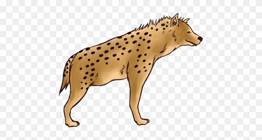 Hyena Png - Hyena Clipart #683741