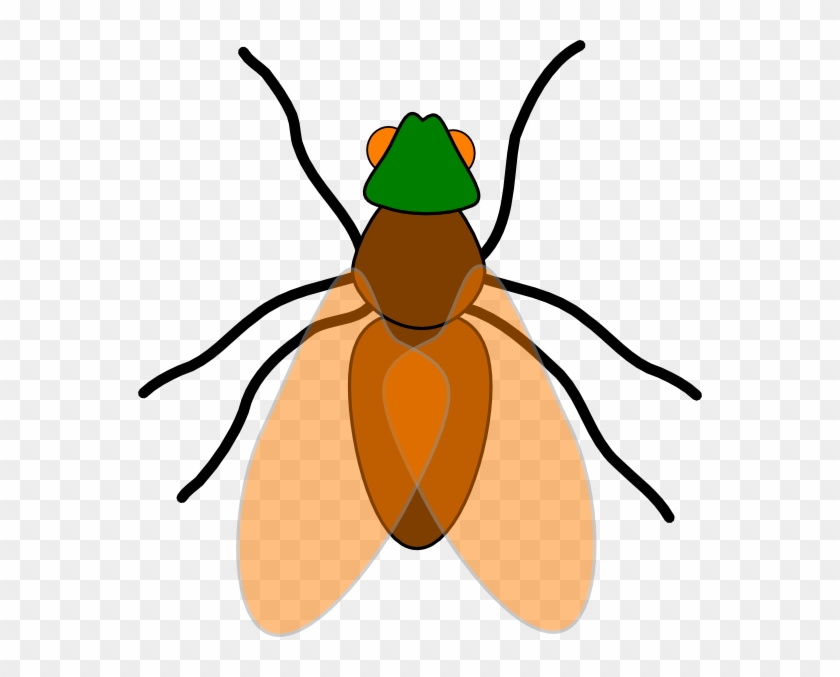 Fly Clip Art #683822