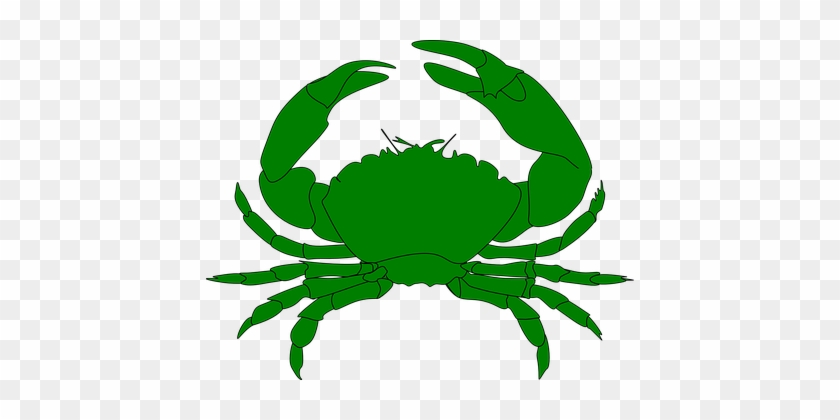 Crab Sea Food Shellfish Marine Water Beach - Crab Green #683828