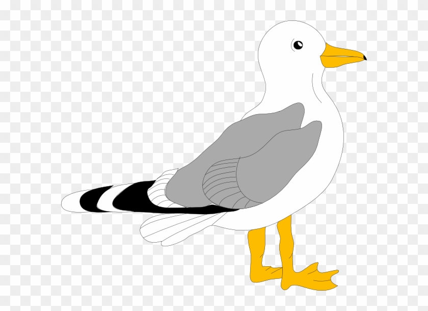 Seagull Clipart #684250