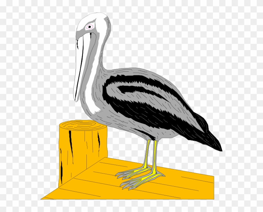 Pelican Clip Art - Pelicans #684274