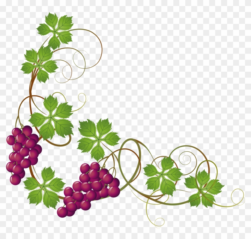 Common Grape Vine Grape Leaves Clip Art - Grape Vine Transparent Background #684428