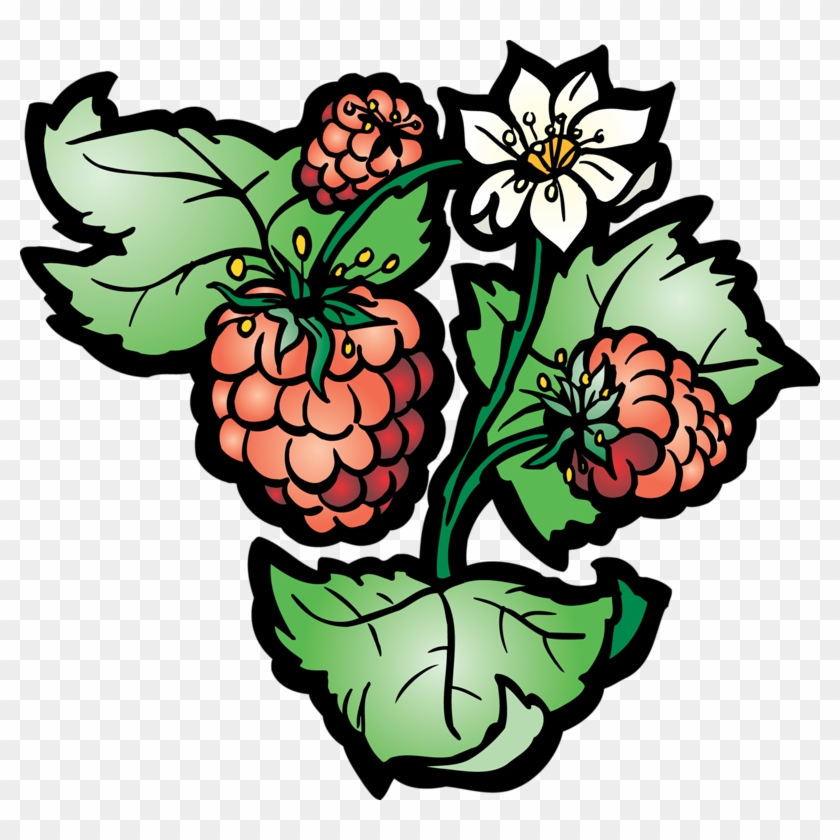 Grape Raspberry Clip Art - Grape Raspberry Clip Art #684586