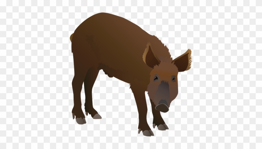 Drawn Boar Animation - Wild Boar Animation Reference #684516