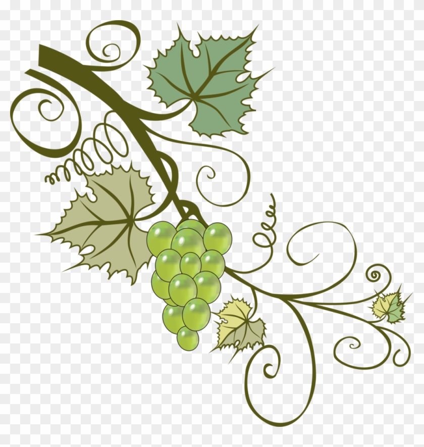 Grapevines Branch Leaf Clip Art - 葡萄 藤 #684672