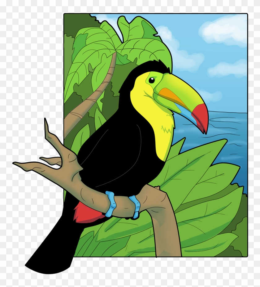 Keel Billed Toucan Clipart - Keel Billed Toucan Drawing #684756