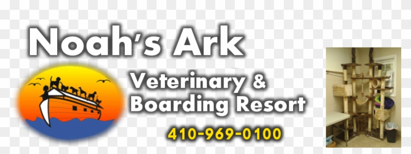 Noah's Ark Veterinary & Boarding Resort - Valencia Orange #684827