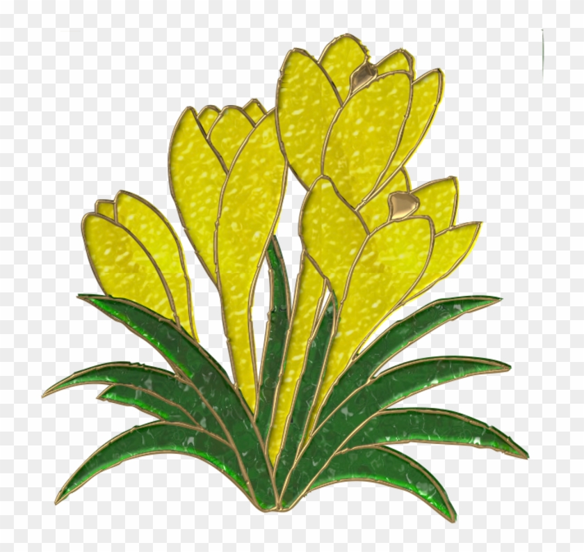Crocus 800*764 Transprent Png Free Download - Crocus 800*764 Transprent Png Free Download #685306