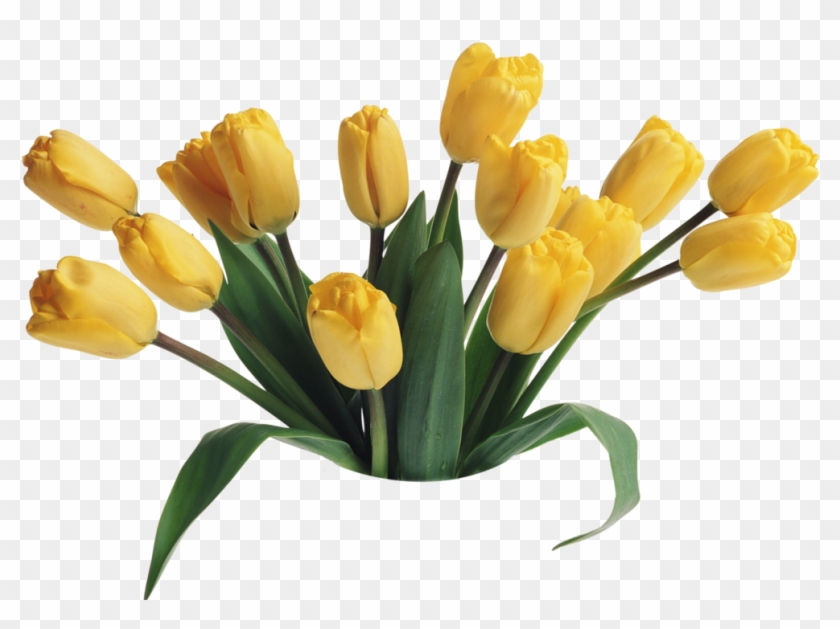 Tulips,тюльпаны - Good Night Sweet Dreams Sms #685309