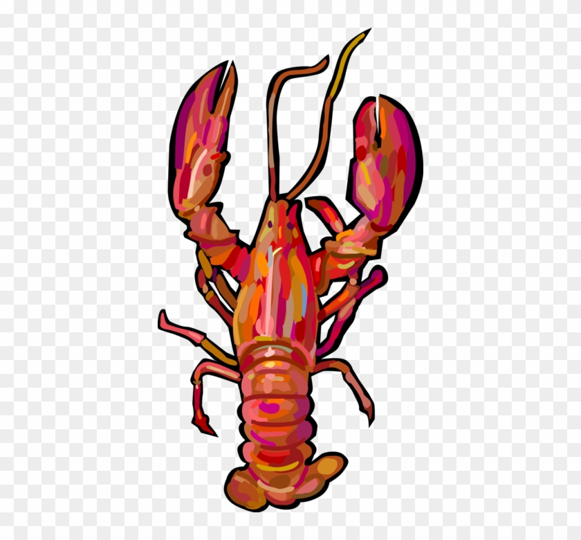 Vector Illustration Of Cooked Clawed Lobster Seafood - Crustaceans Types #685327